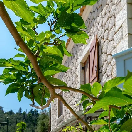 Averto 3* Lefkada City